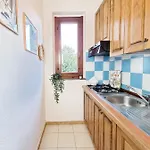 Mimose 100m From The