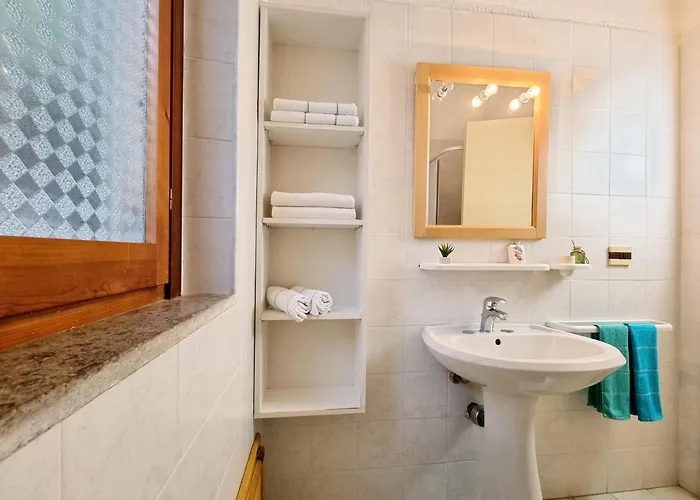 Mimose 100m From The Tatil Evi Costa Rei