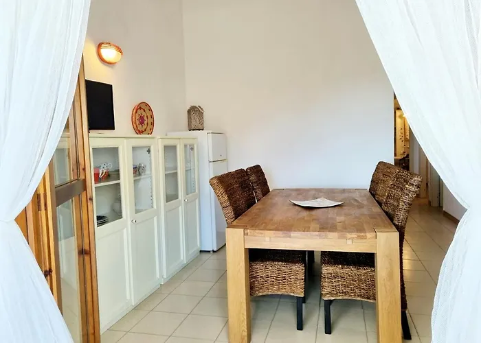 Mimose 100m From The Tatil Evi *